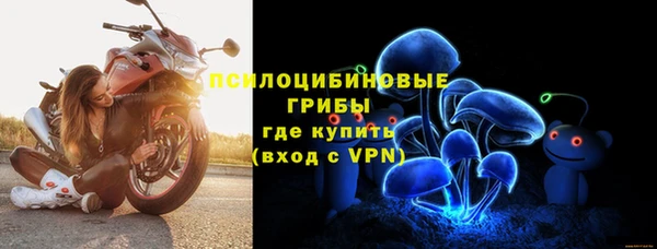 амфетамин Белокуриха