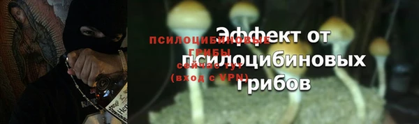 амфетамин Белокуриха