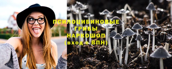 альфа пвп Беломорск