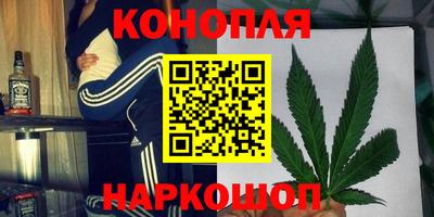 сатива Рязань