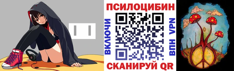 Галлюциногенные грибы мицелий  где найти   Сердобск 