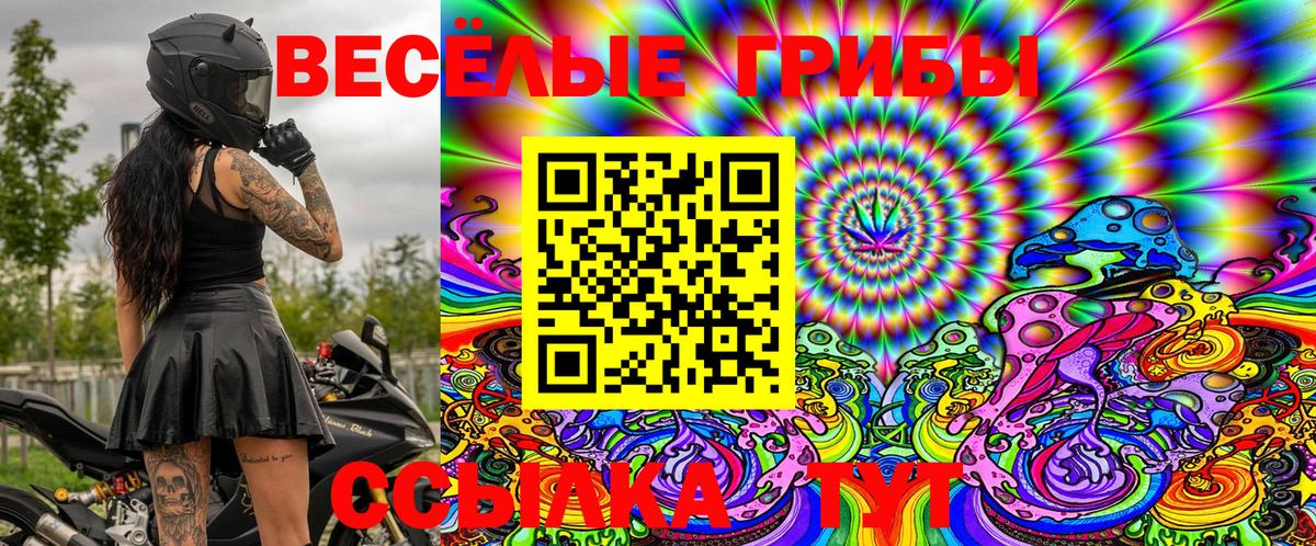 Псилоцибиновые грибы Magic Shrooms  Вход с VPN  Сердобск 